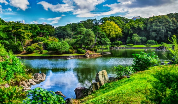 Spring Special: Showa Kinen Park + Rikugien Gardens + Asukayama Park 1 Day Tour from Tokyo (Mar 21~Apr 9)